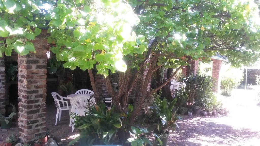 Onze Rust Guest House And Caravanpark كوليزبيرغ المظهر الخارجي الصورة